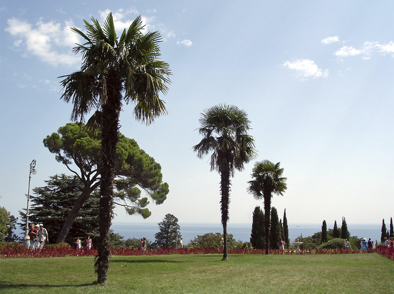 Ливадийский дворец и парк