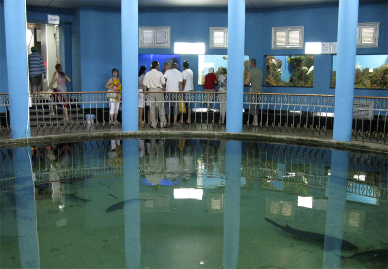 Севастопольский морской Аквариум - музей